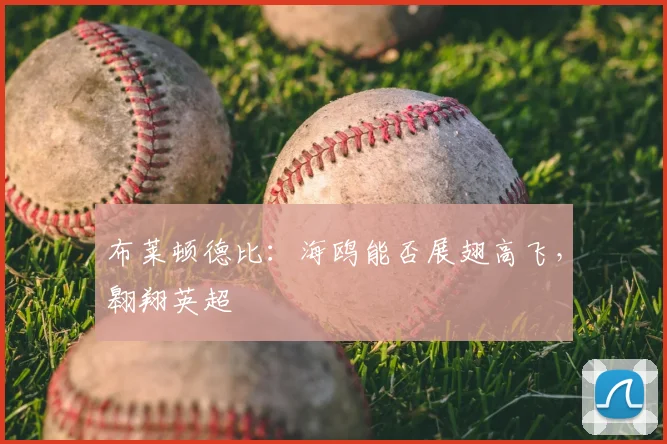 布莱顿德比：海鸥能否展翅高飞，翱翔英超