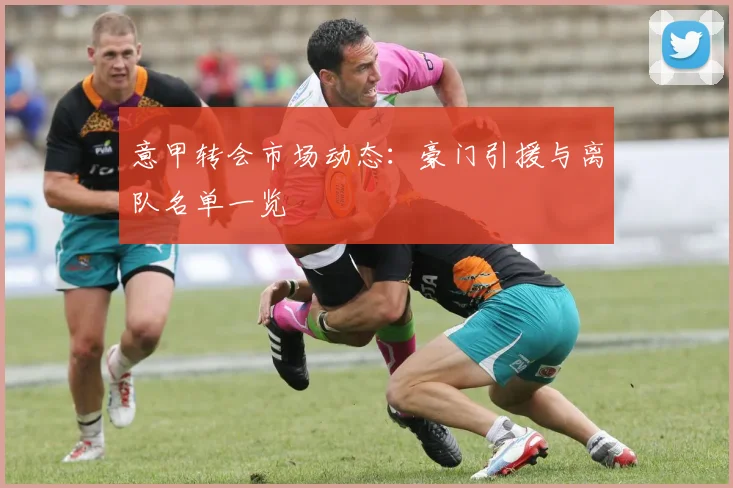 意甲转会市场动态:豪门引援与离队名单一览