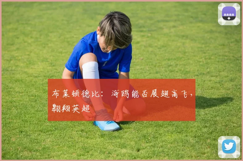 布莱顿德比:海鸥能否展翅高飞,翱翔英超